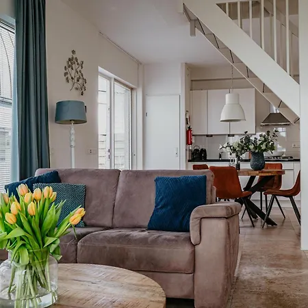 Дом отдыха De Platvis *